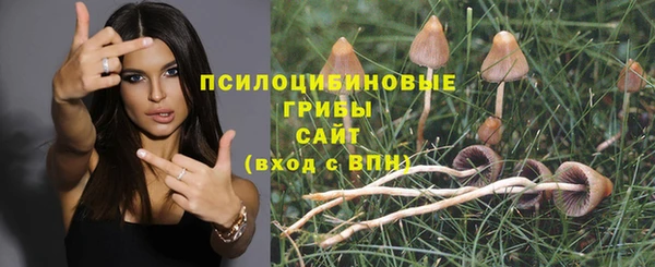 MDMA Premium VHQ Абаза