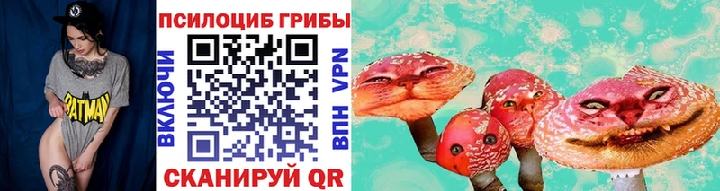нарко площадка официальный сайт  Урень  Галлюциногенные грибы мицелий 