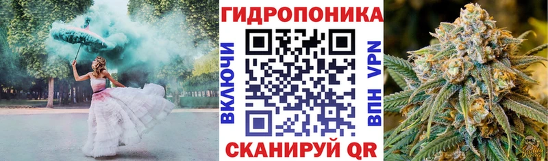 Канабис Amnesia  Урень 